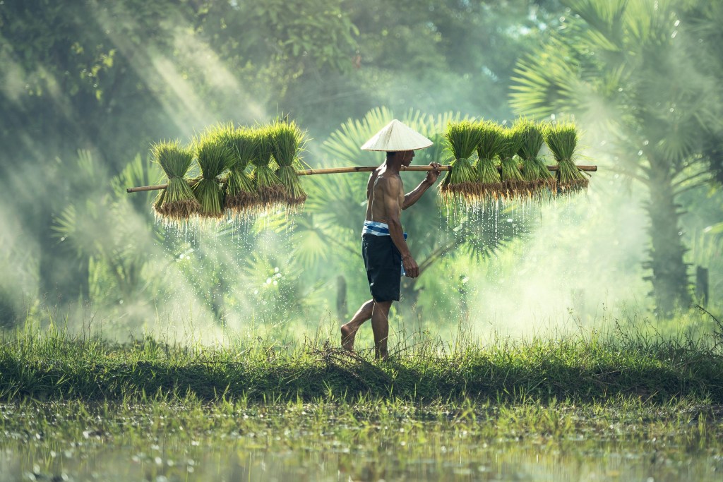 Culture and Trekking: Experiencing Local Life in Himalayan&nbsp;Villages